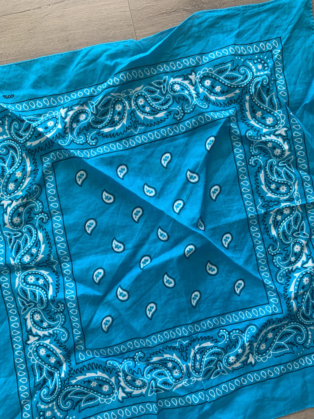 Blue Paisley Bandana - photo 2