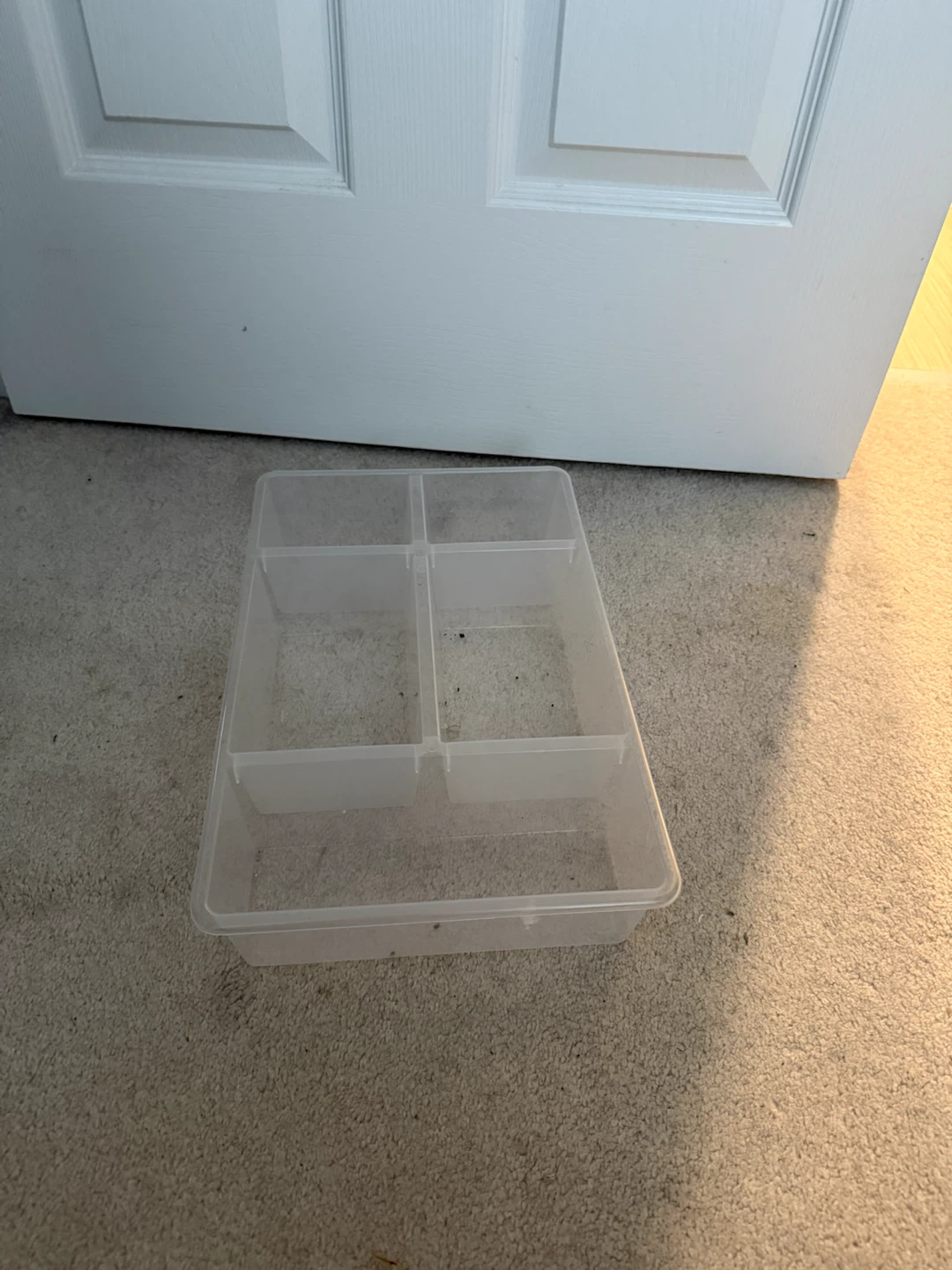 Clear Plastic Organizer Tray