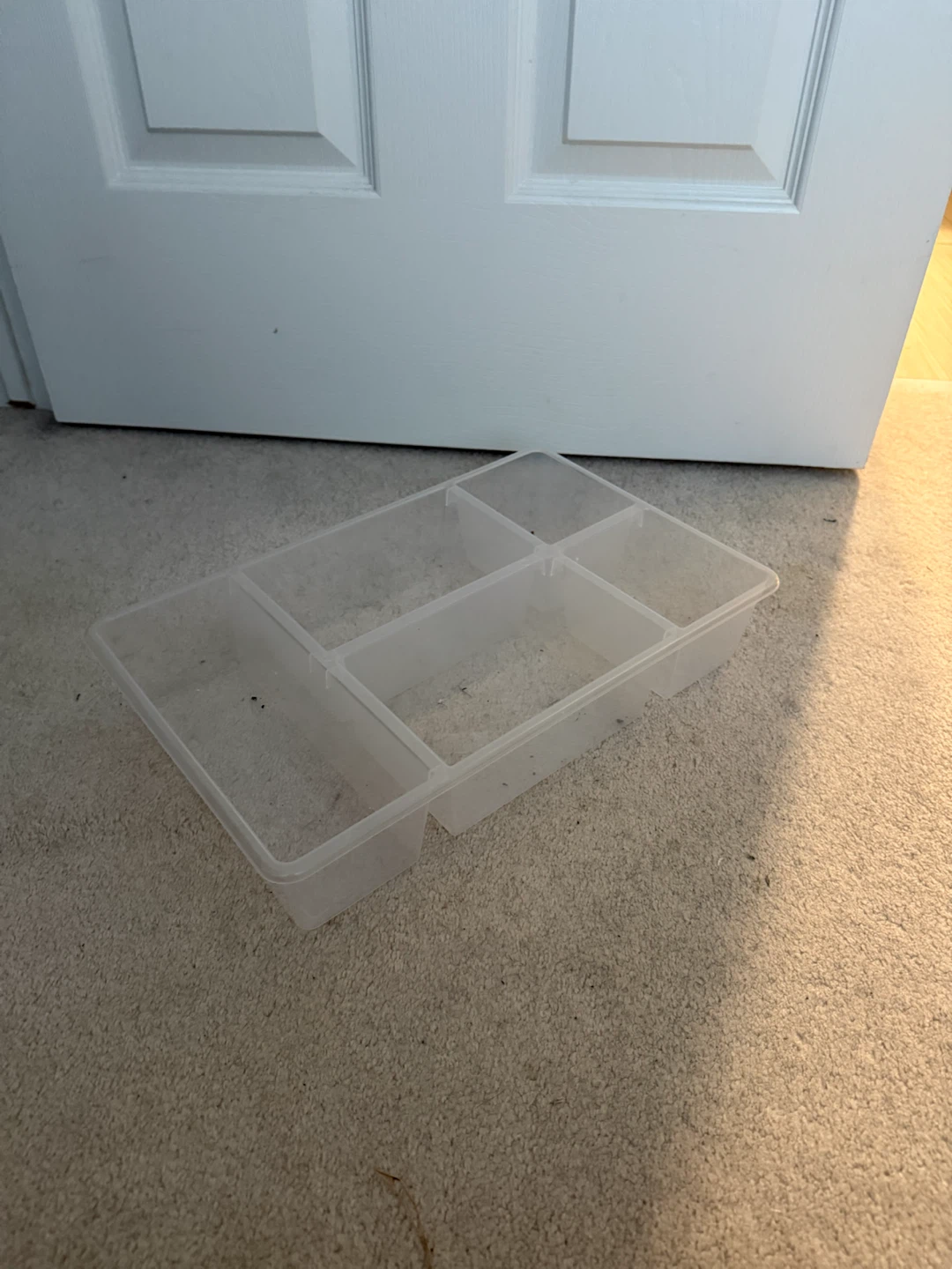 Clear Plastic Organizer Tray - photo 3