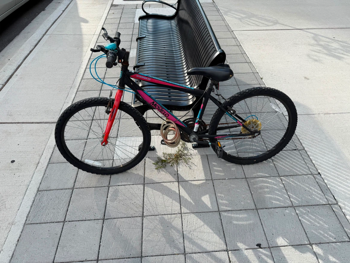 Movelo Mountain Bike - photo 5