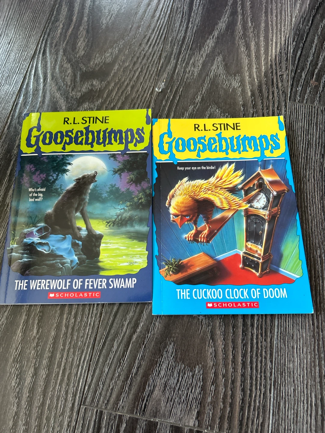 2 Goosebumps Books by R.L. Stine