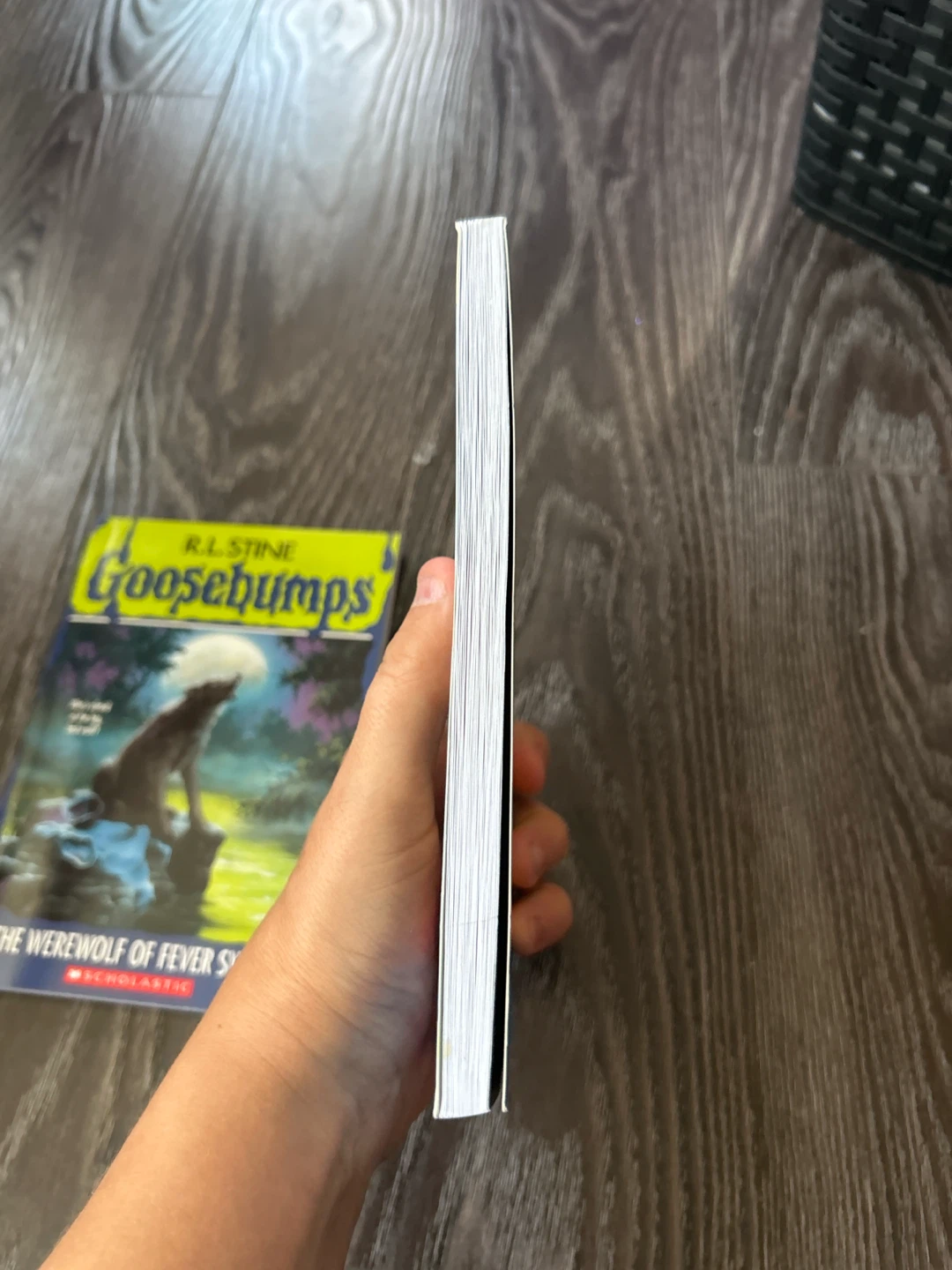 2 Goosebumps Books by R.L. Stine - photo 3