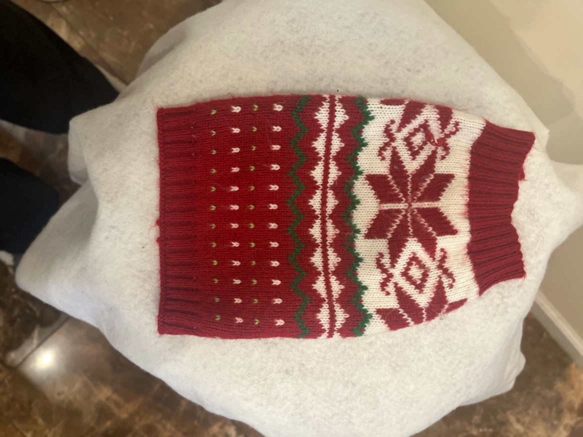 Pet Bling Dog Jacket & Cosmo Fur Babies Sweater - photo 3