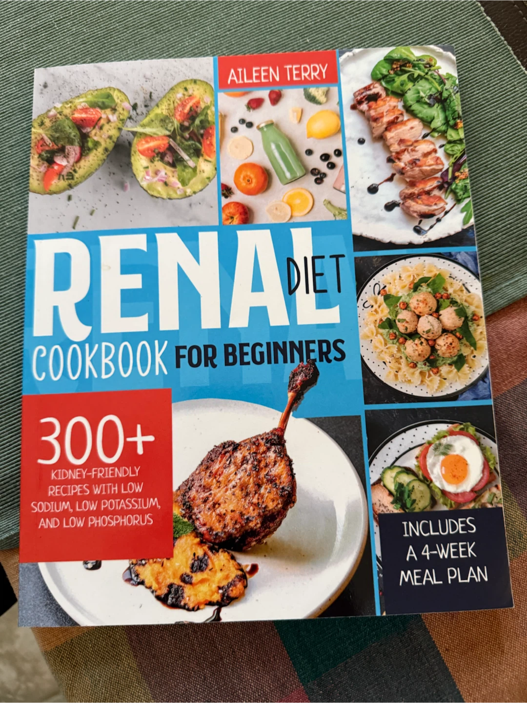 Renal Diet Cookbook