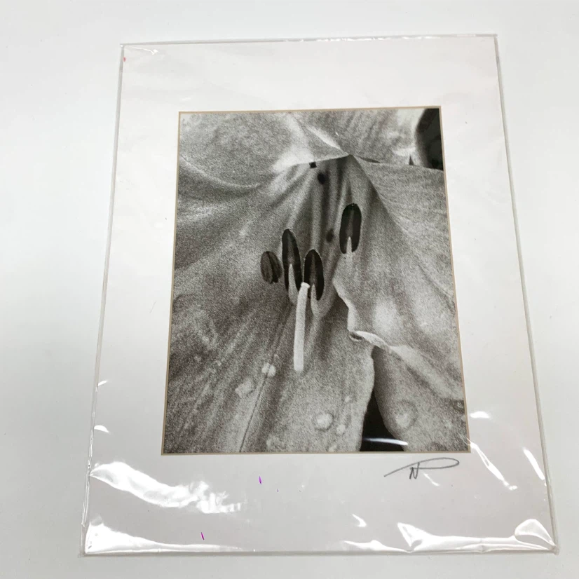 Neal Panton Artist Proof Wall Art Print Photography Wall Decor - photo 2