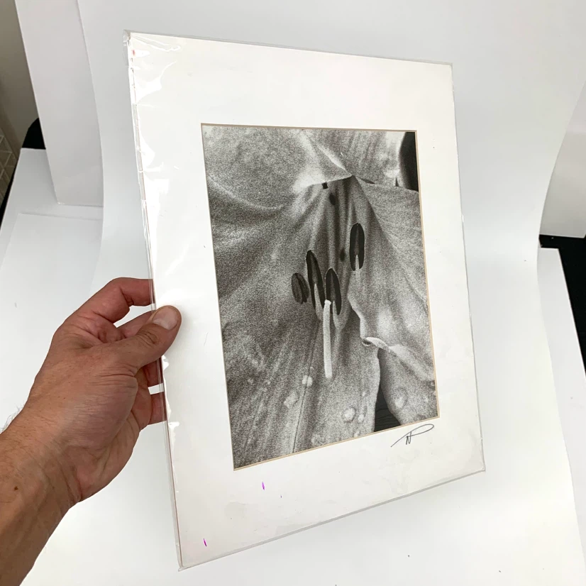 Neal Panton Artist Proof Wall Art Print Photography Wall Decor