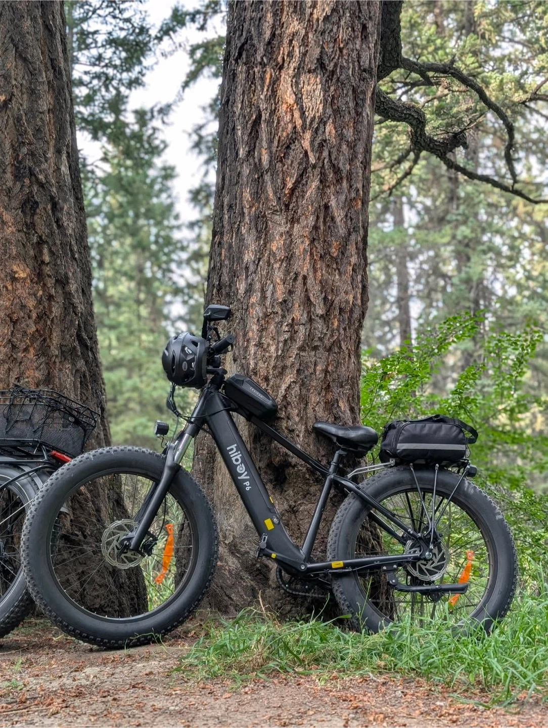 Hiboy P6 Electric Fat Tire Bike