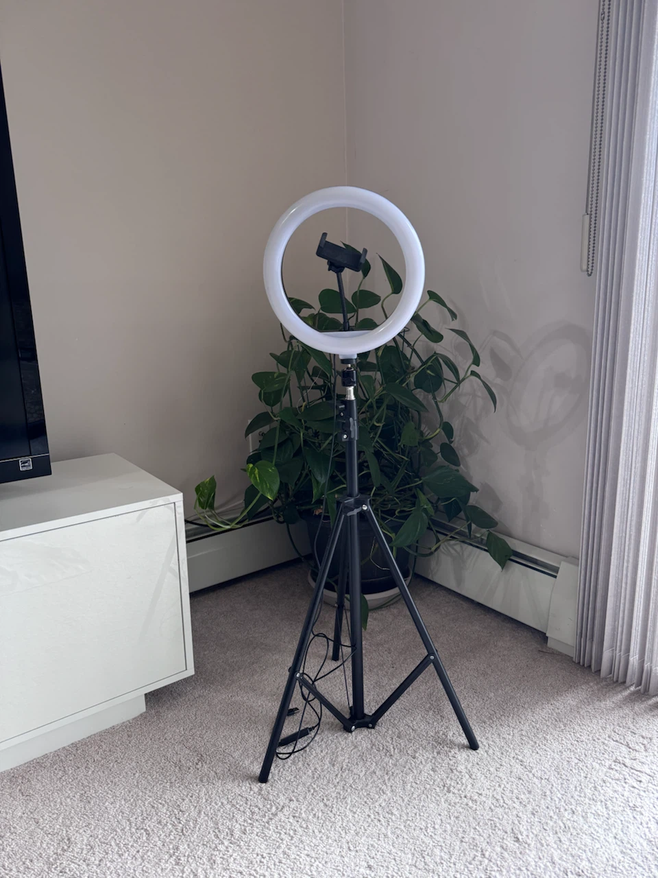 LED Ring Light with Tripod Stand