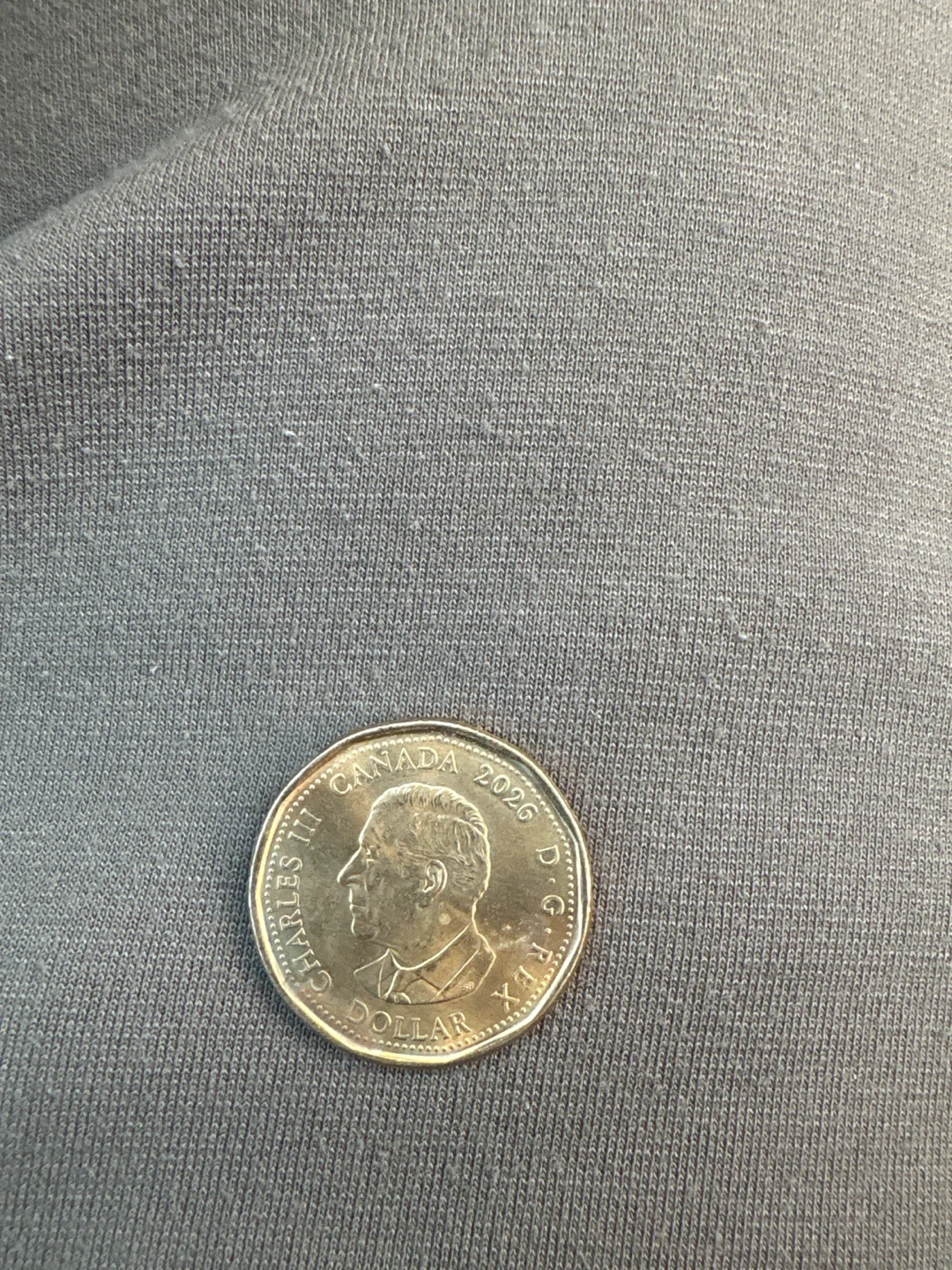 2026 FIFA World Cup Canada One Dollar Coin - photo 2