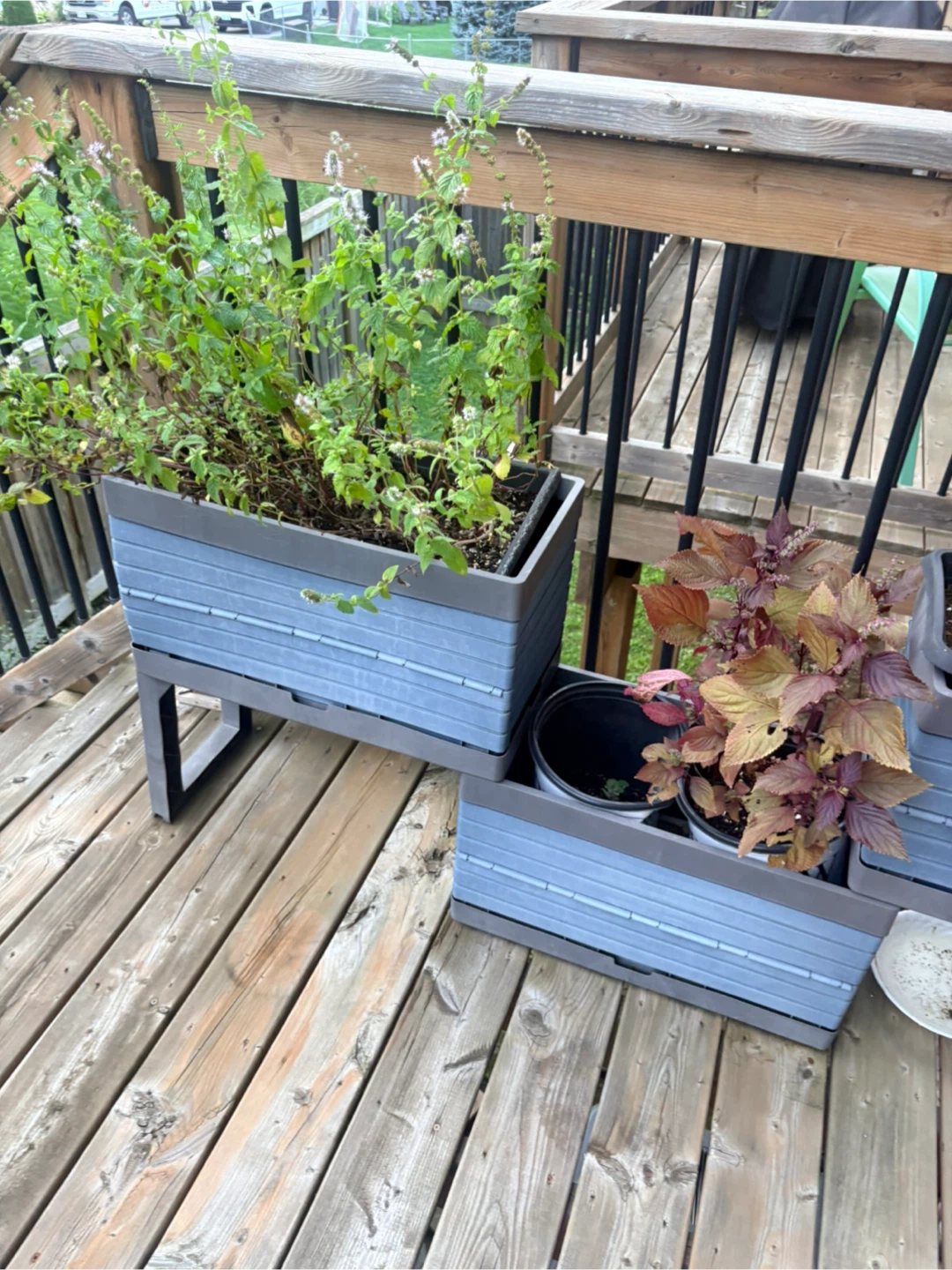 Stackable Raised Garden Planter Boxes