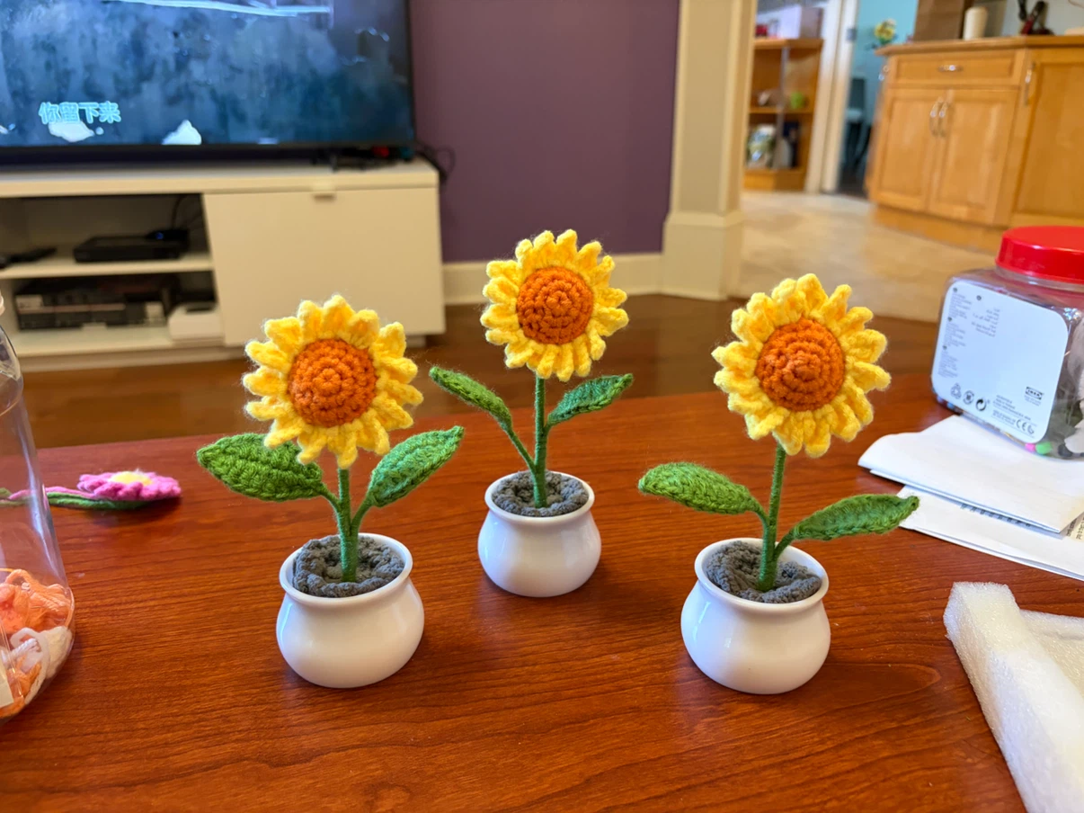 Sunflowers in pots - photo 3