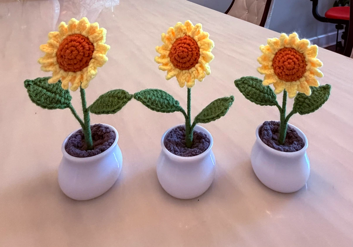 Sunflowers in pots - photo 2