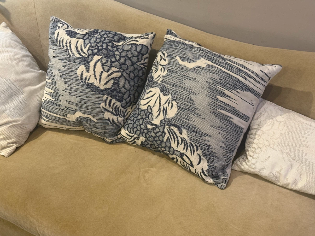 Set of 2 West elm embroidery sofa pillows