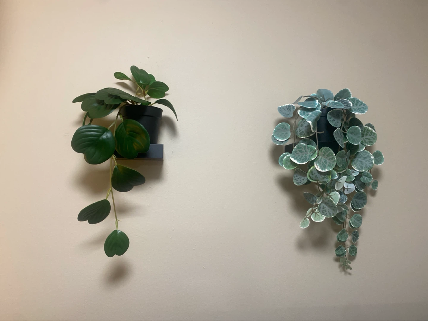 Faux Hanging Plants (2)
