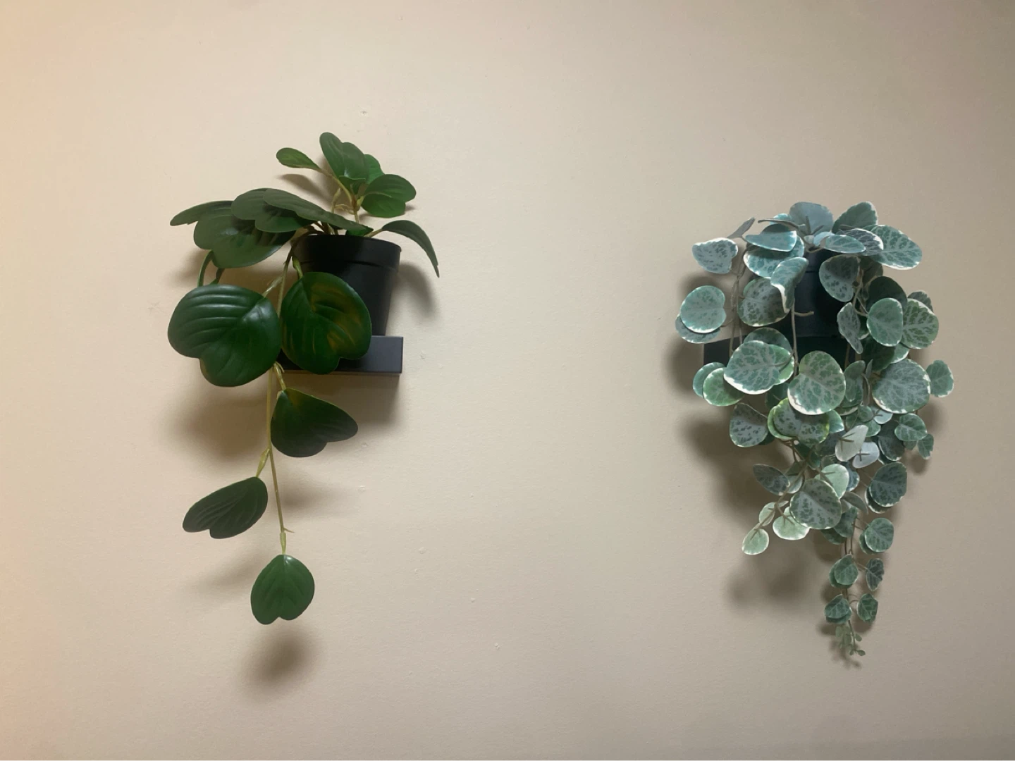 Faux Hanging Plants (2) - photo 2
