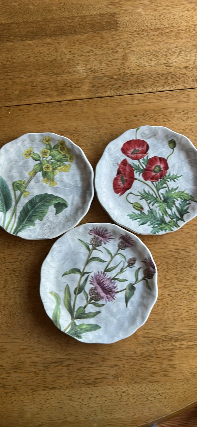 3 Pier 1 Botanical Floral Ironstone Plates