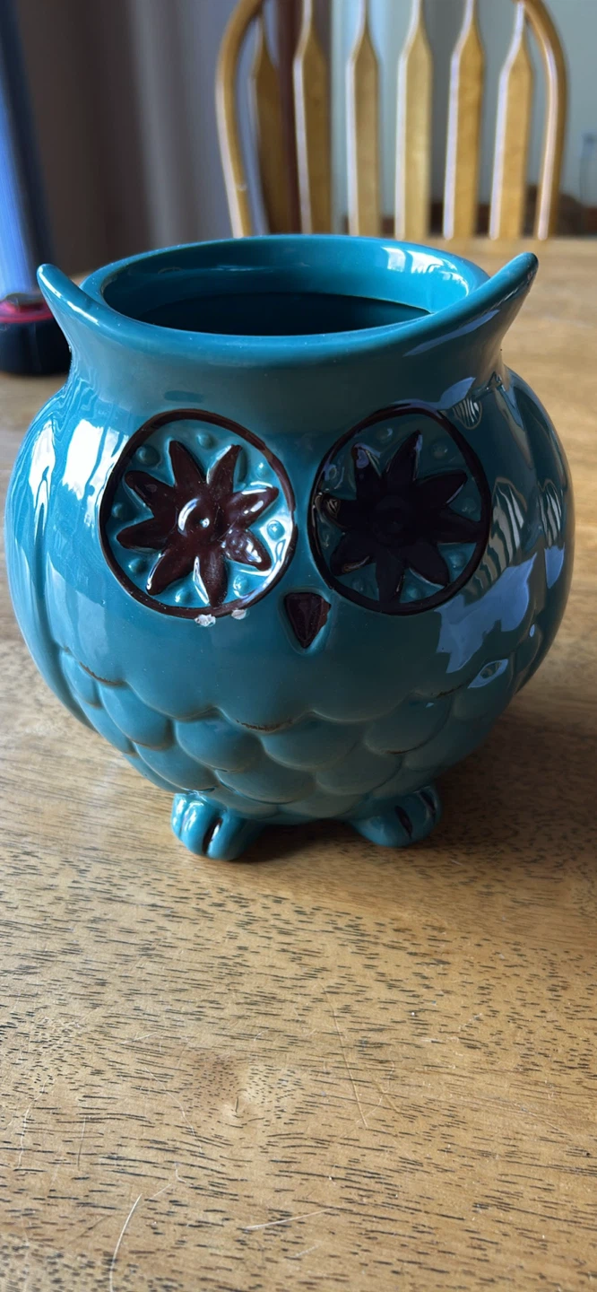 Pier 1 Imports Owl Canister