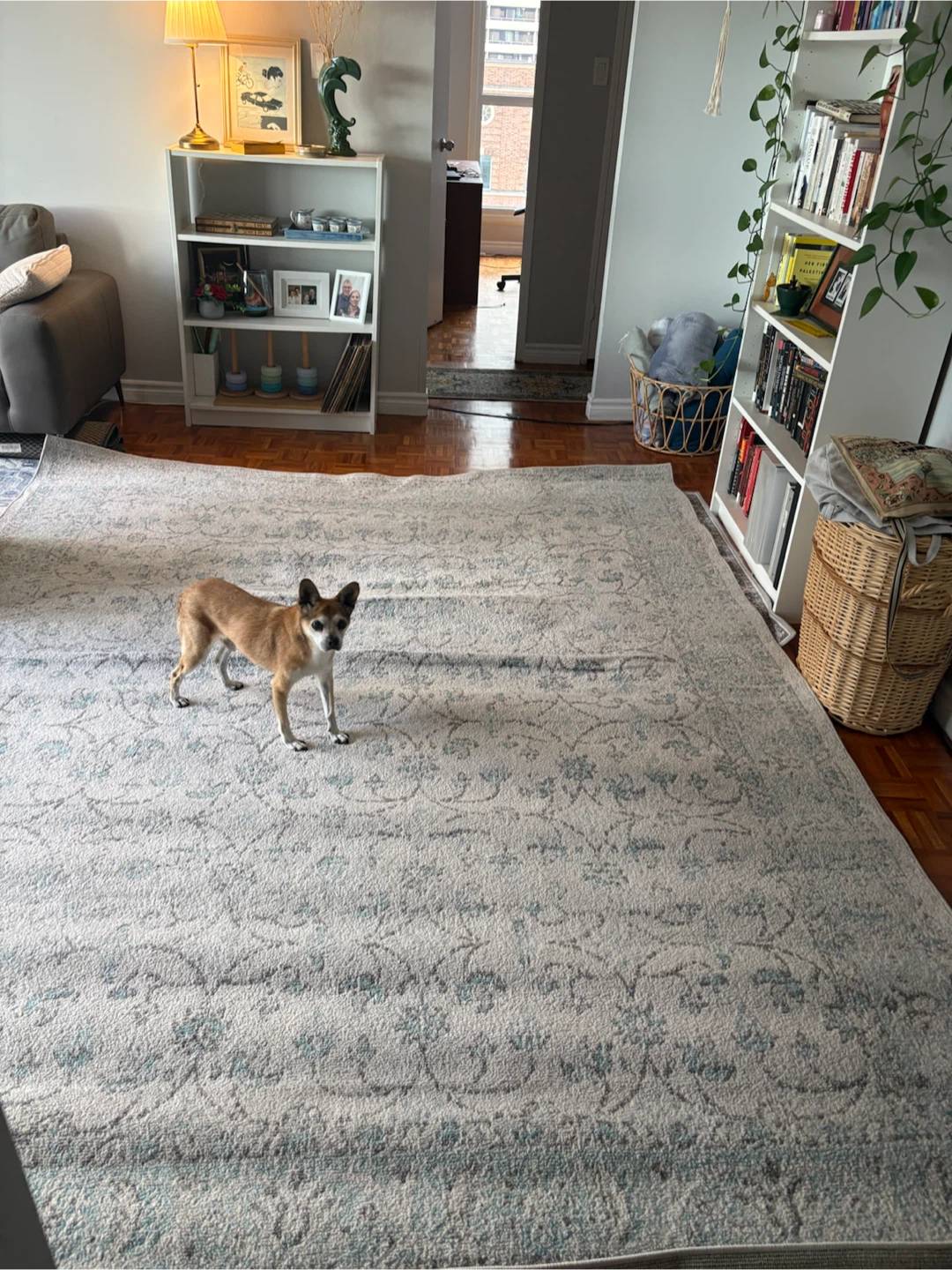 Wayfair large area rug