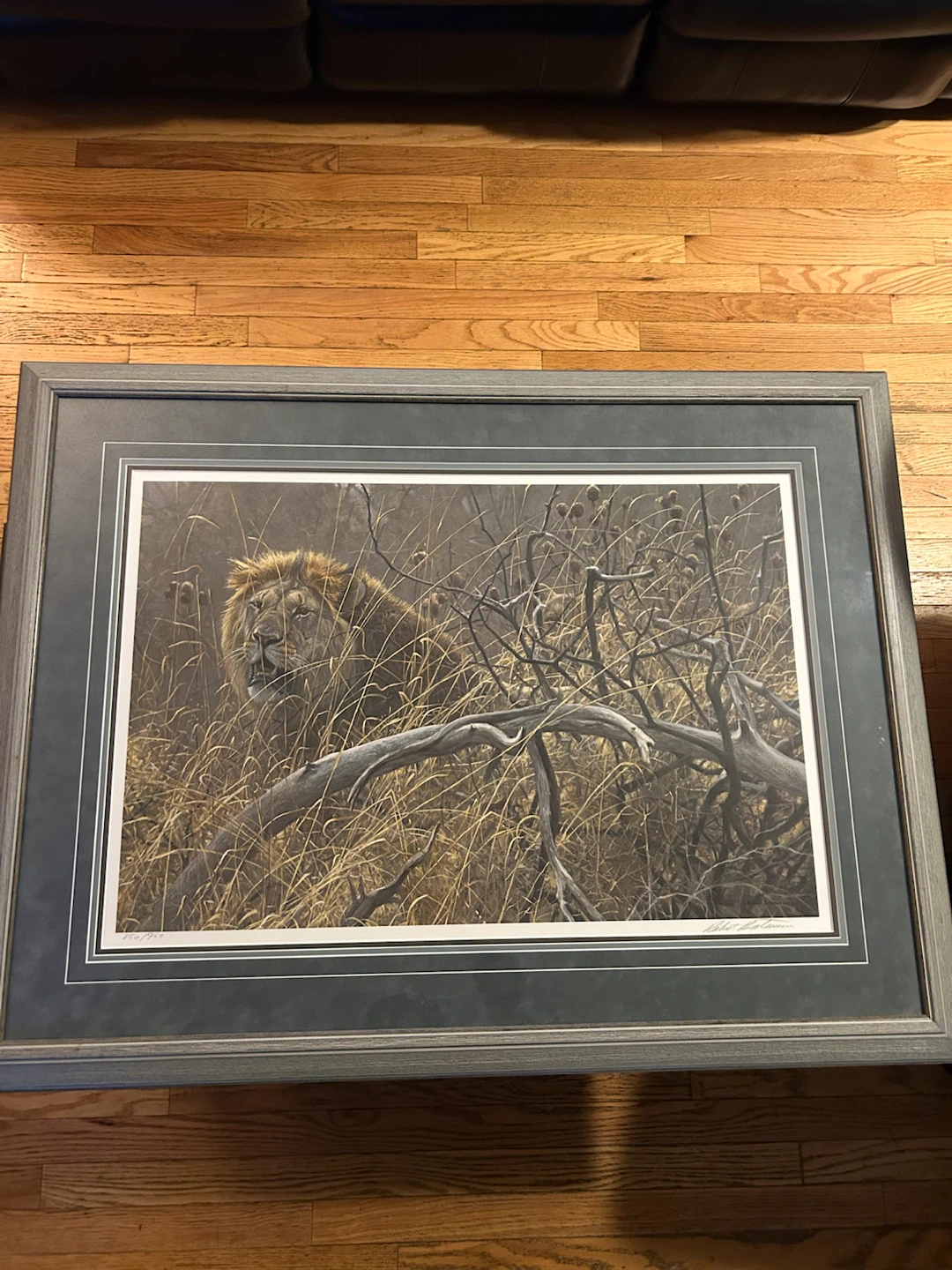 Robert Bateman Signed Lion Print