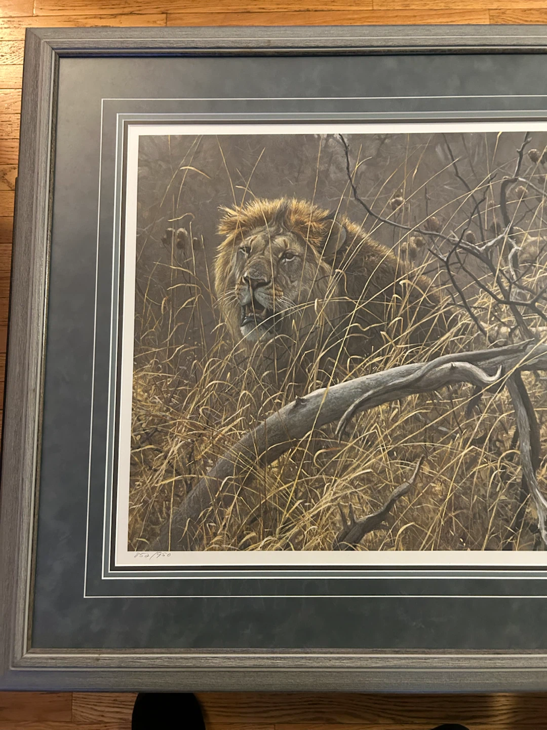 Robert Bateman Signed Lion Print - photo 2