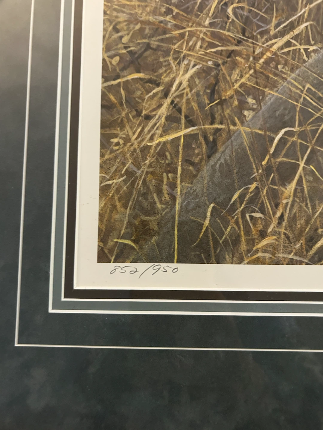 Robert Bateman Signed Lion Print - photo 3