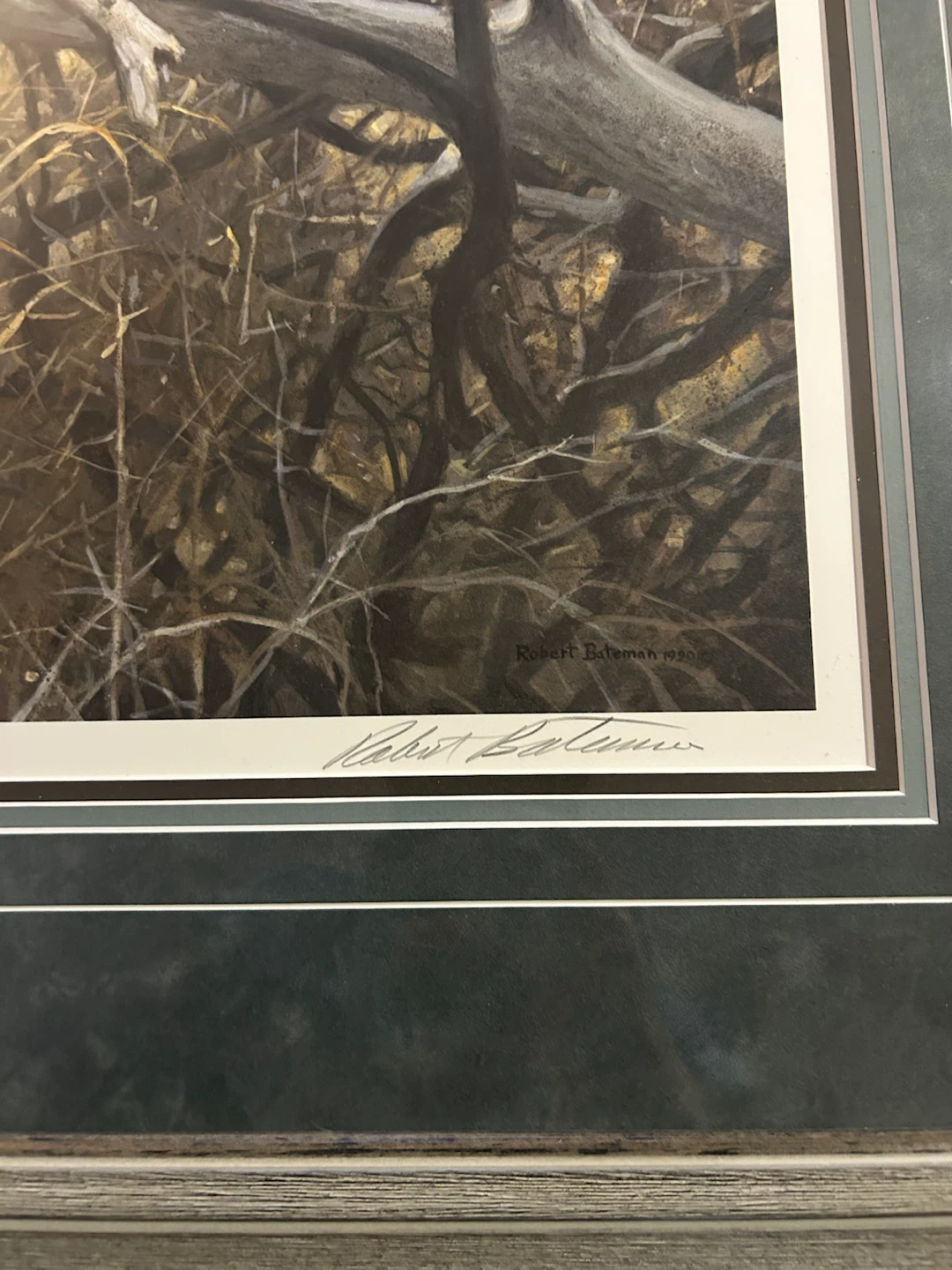 Robert Bateman Signed Lion Print - photo 4
