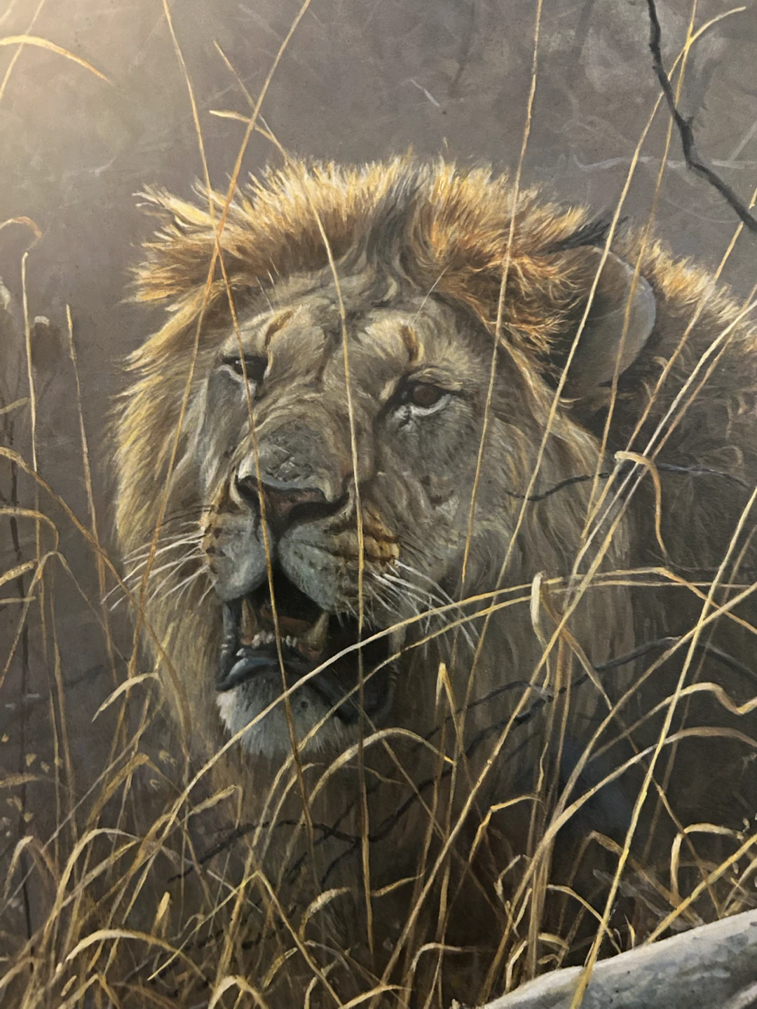 Robert Bateman Signed Lion Print - photo 5