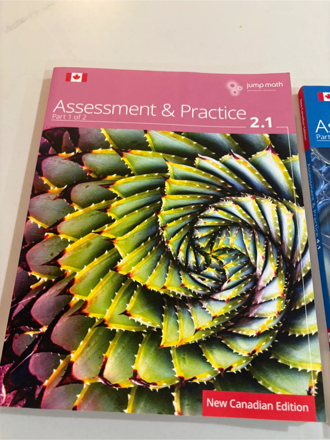 Jump Math Assessment & Practice Books Grade 2.1 & 4.1