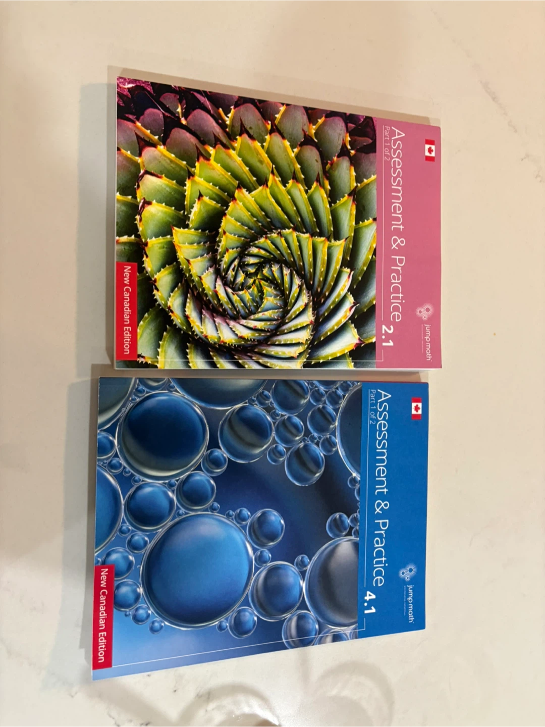 Jump Math Assessment & Practice Books Grade 2.1 & 4.1 - photo 2