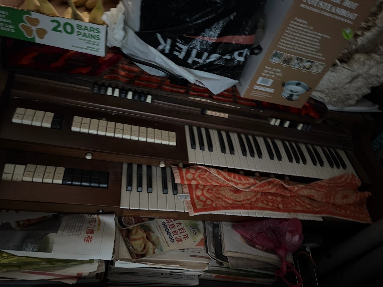 Vintage Organ