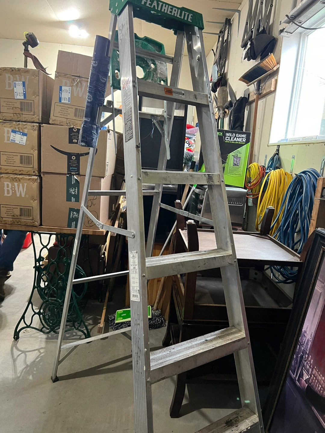 Featherlite 6 ft. Ladder