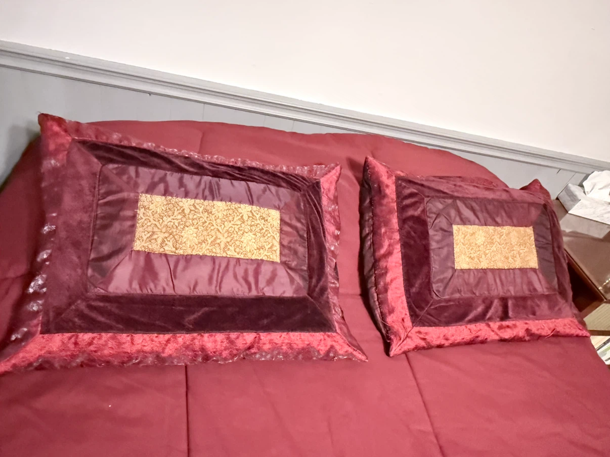 Decorative Throw Pillow covers (pillow included)