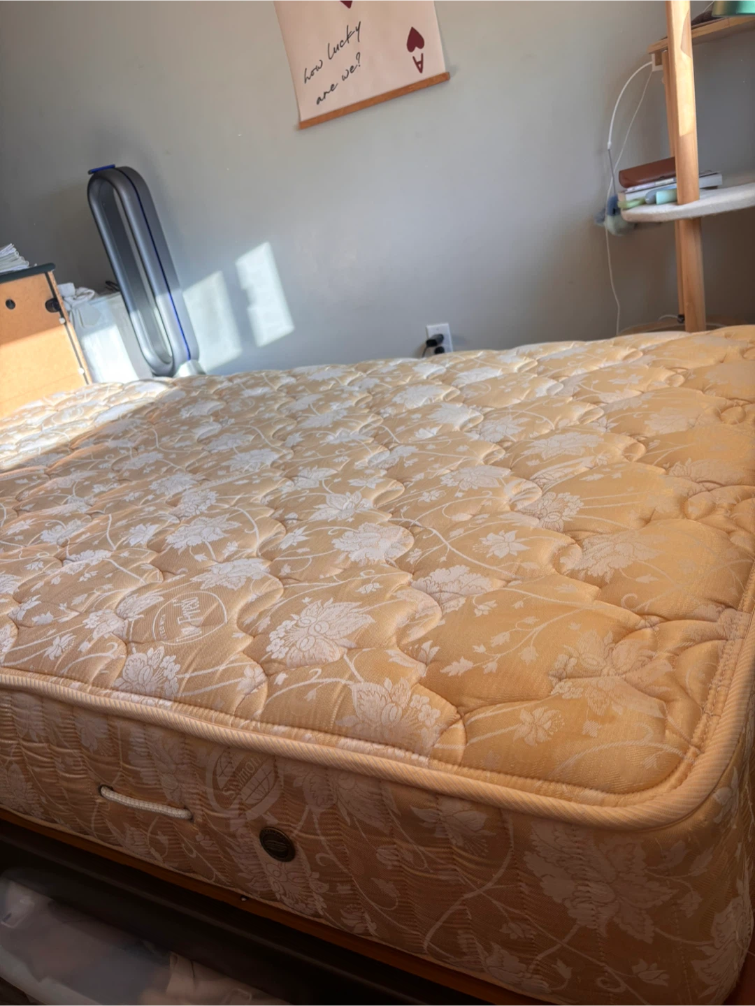 Simmons Dr. Hard Single Mattress Double size - photo 2