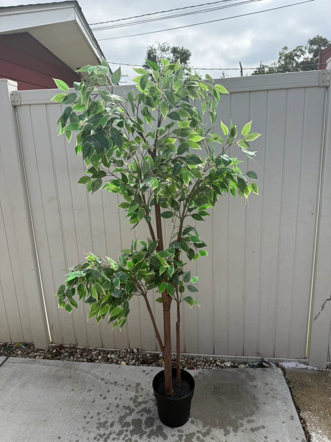 Artificial Ficus Tree Plant
