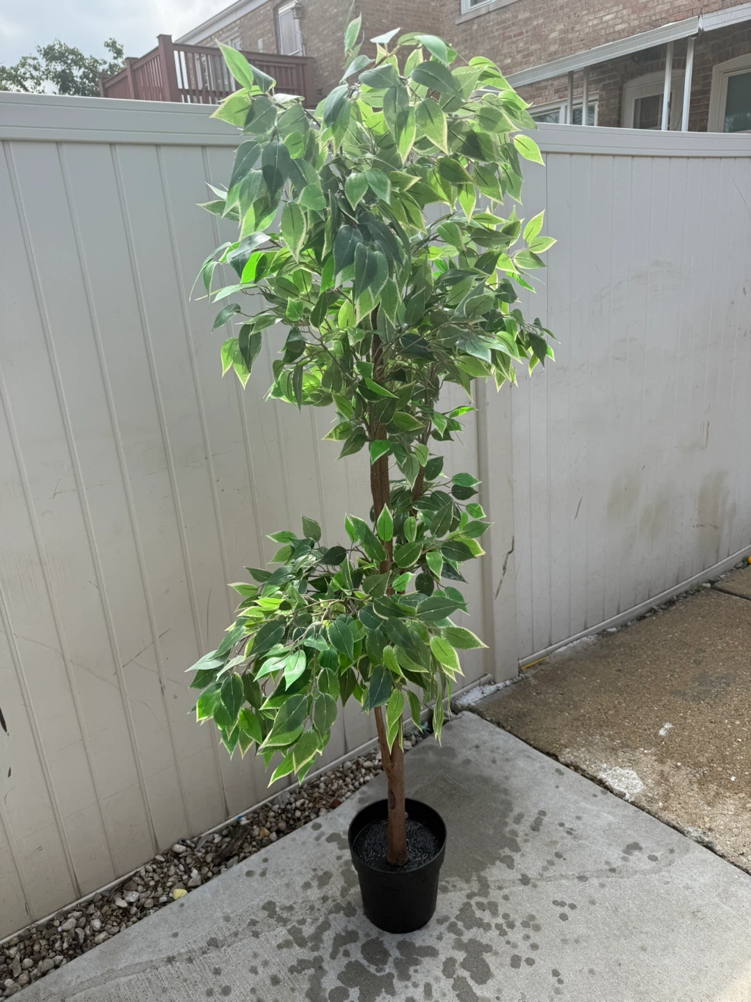 Artificial Ficus Tree Plant - photo 2