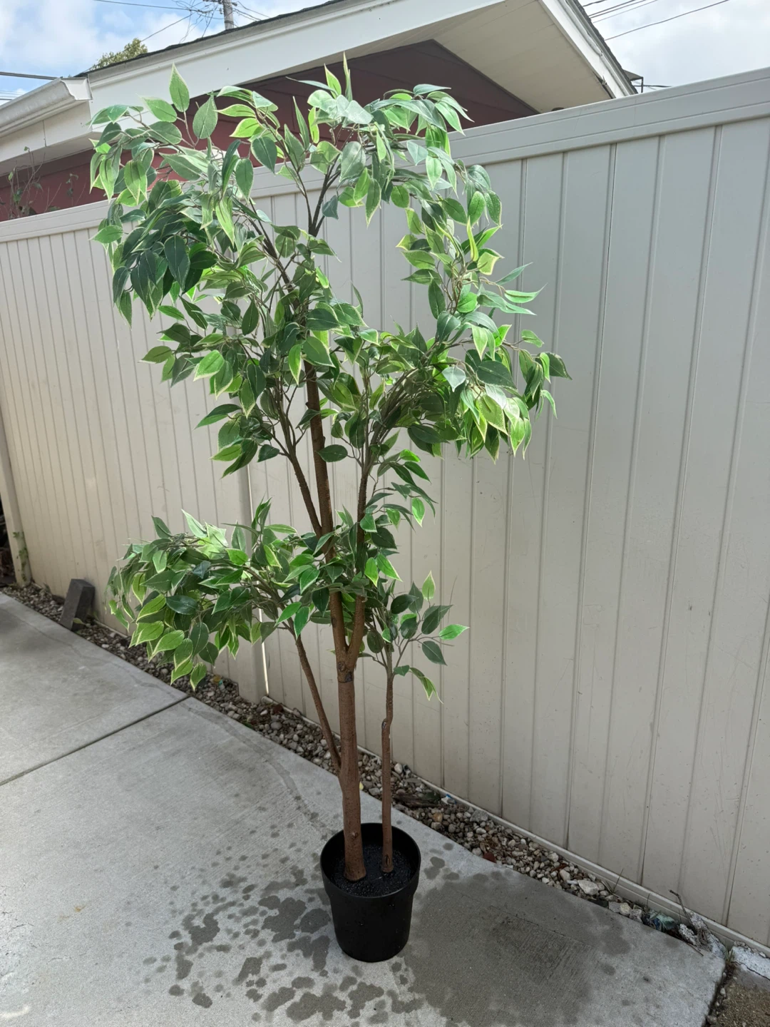 Artificial Ficus Tree Plant - photo 3