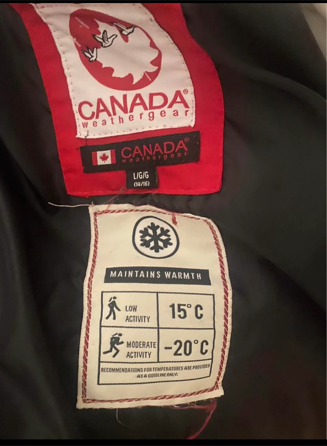 Canada Weathergear Winter Parka - photo 3