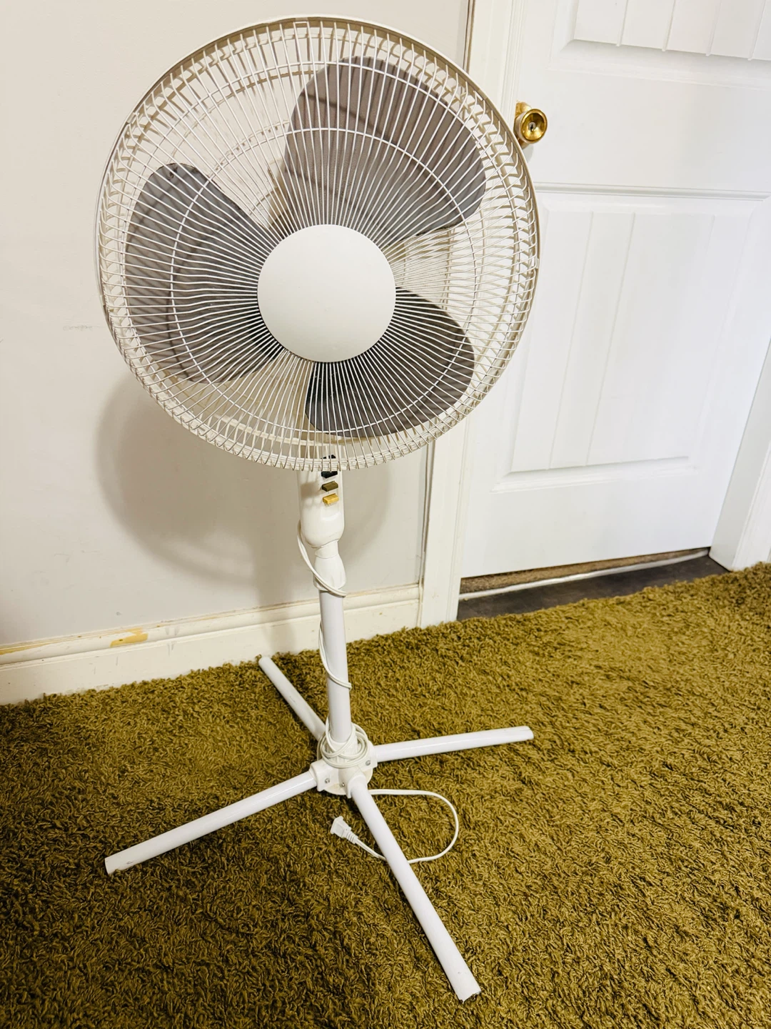 White Standing Fan