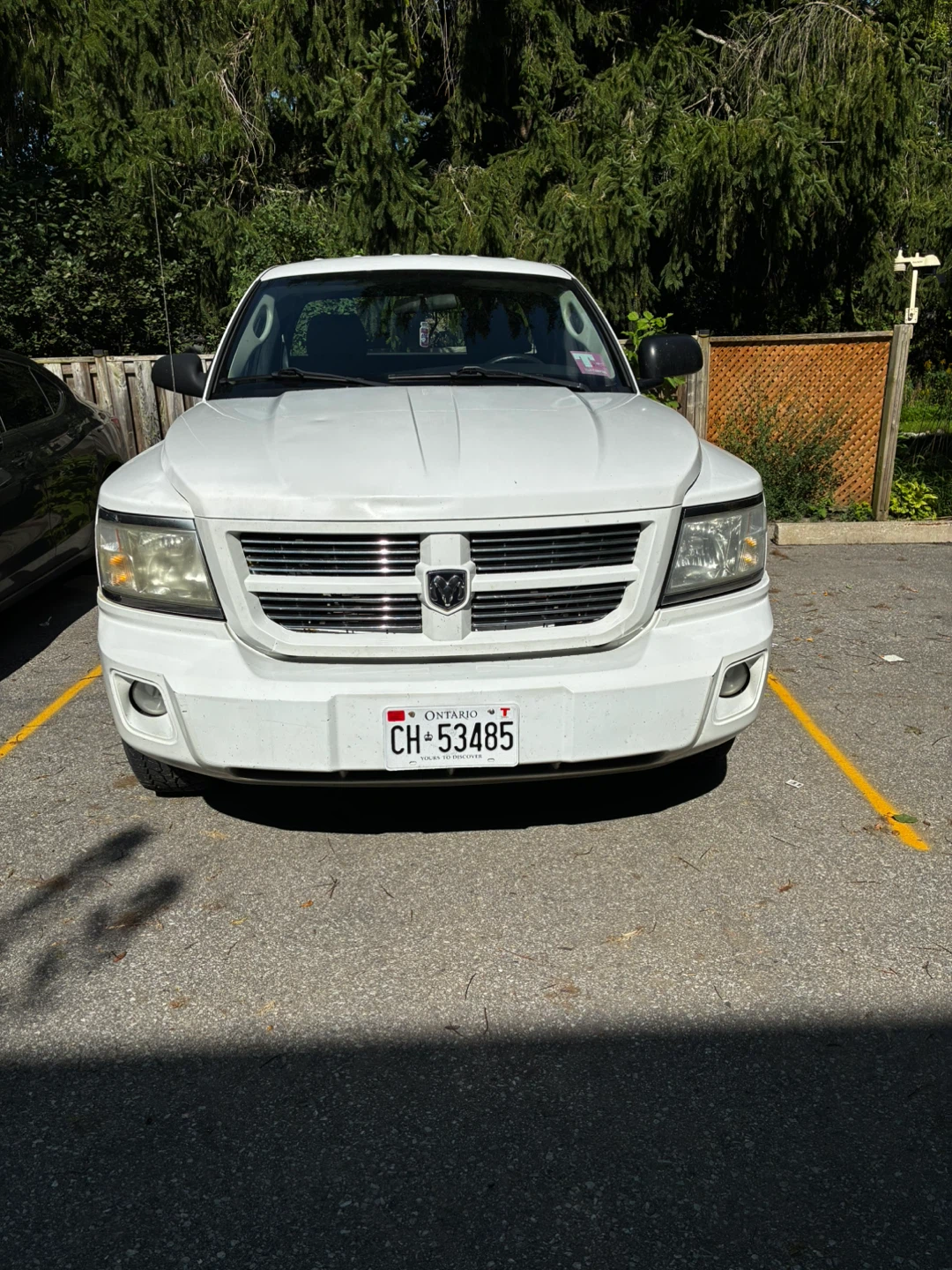 White 2010 dodge dakota