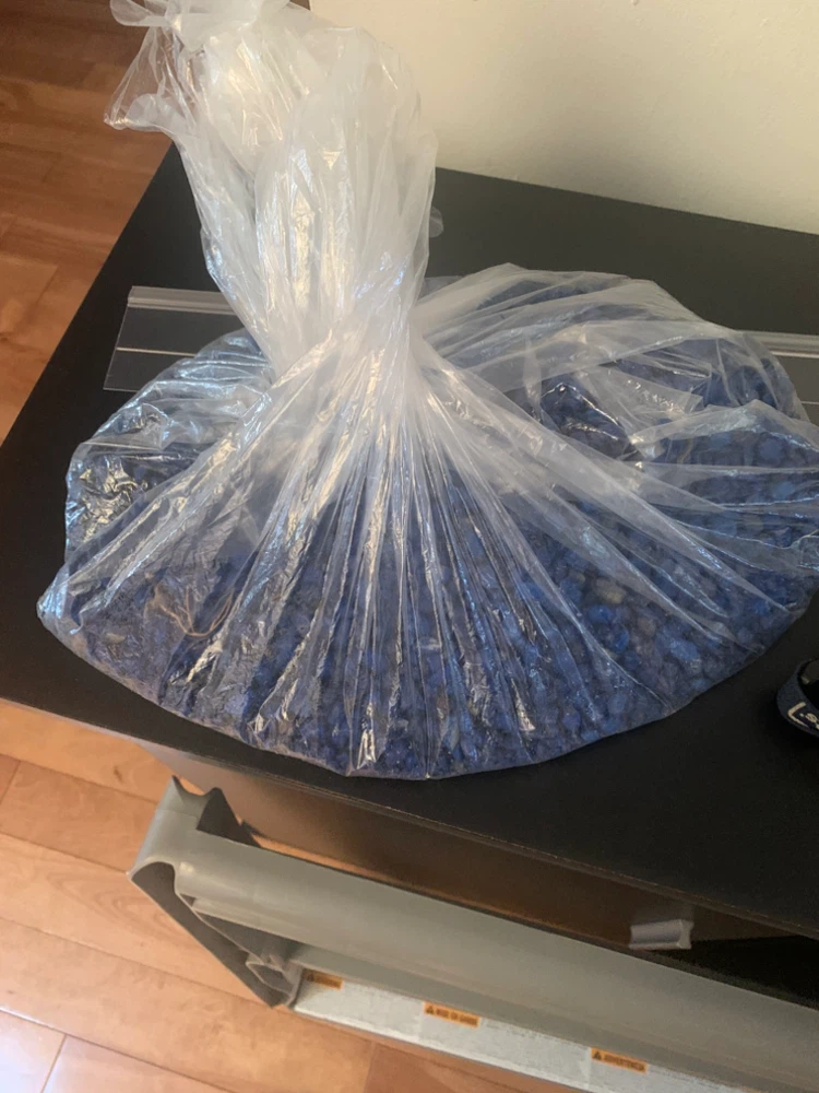 GloFish 1.5 Gallon Aquarium Kit - photo 2