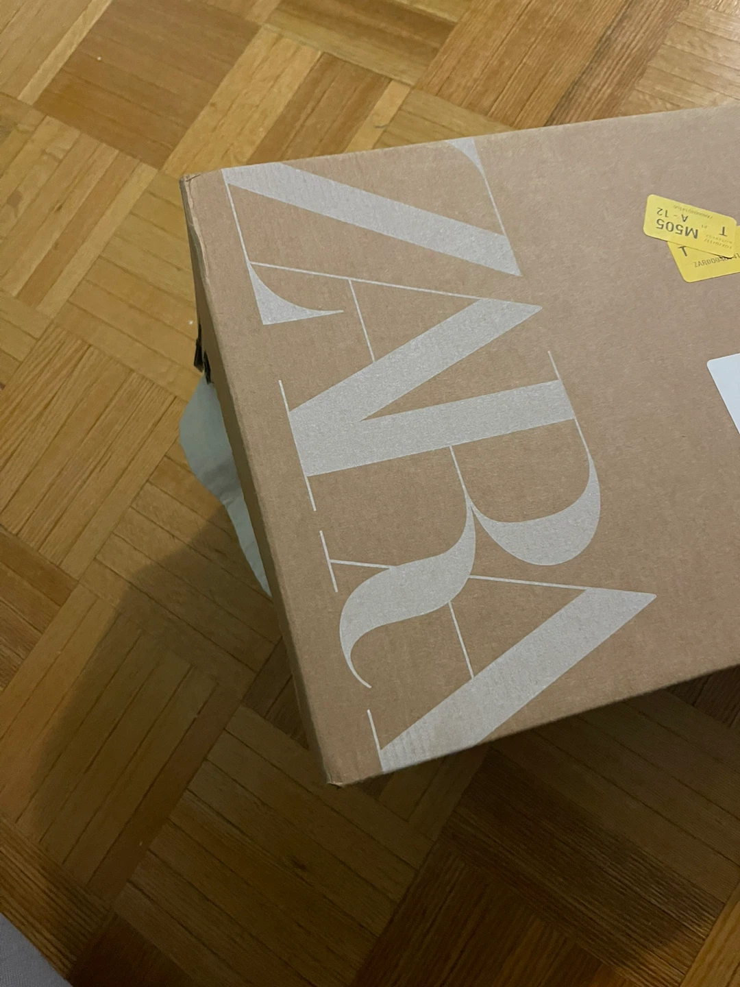 Zara boots