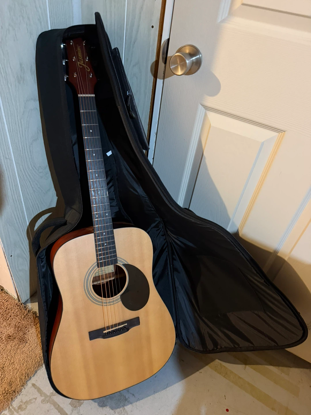 Takamine Acoustic Guitar with Gig Bag