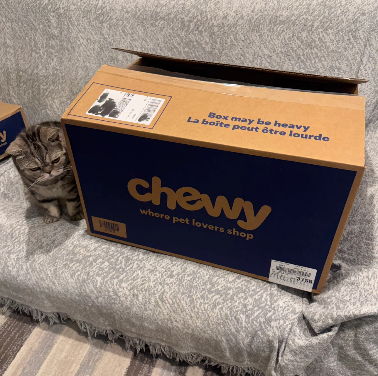 Chewy Empty Box