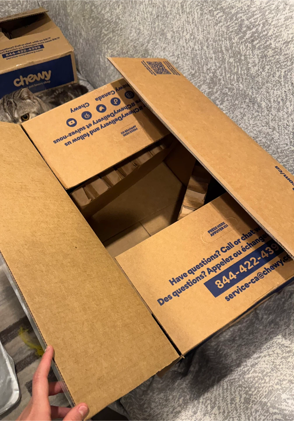 Chewy Empty Box - photo 2