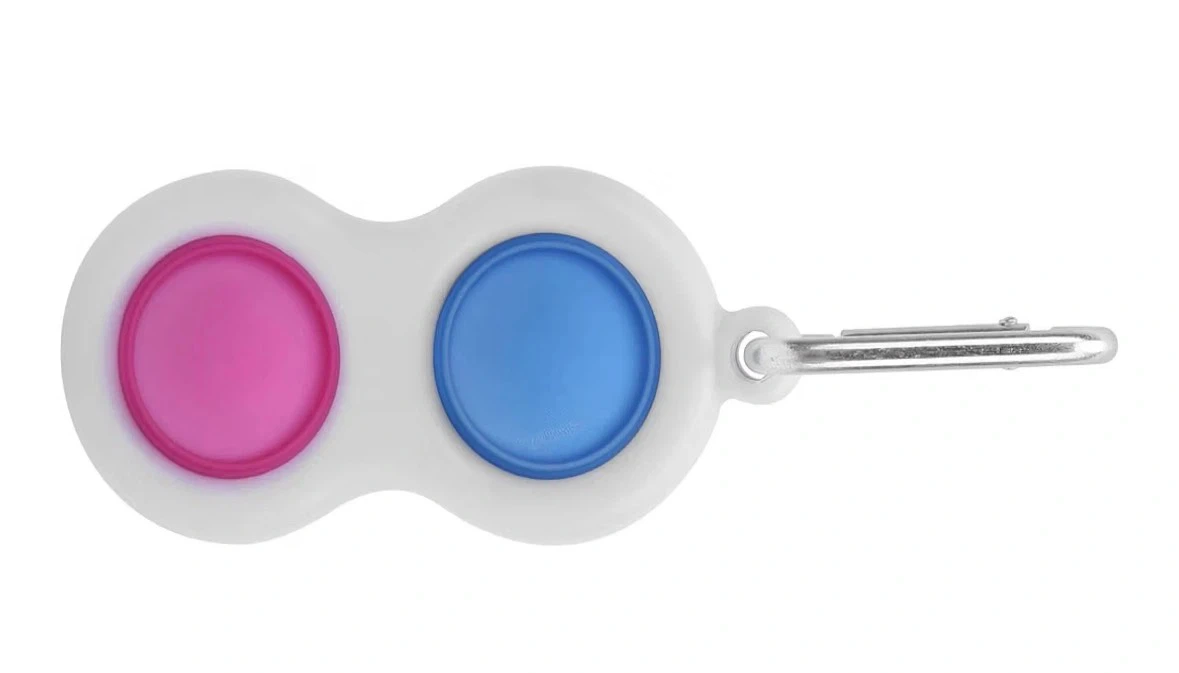 Push Bubble Keychain Toy, Stress Relief Sensory Fidget
