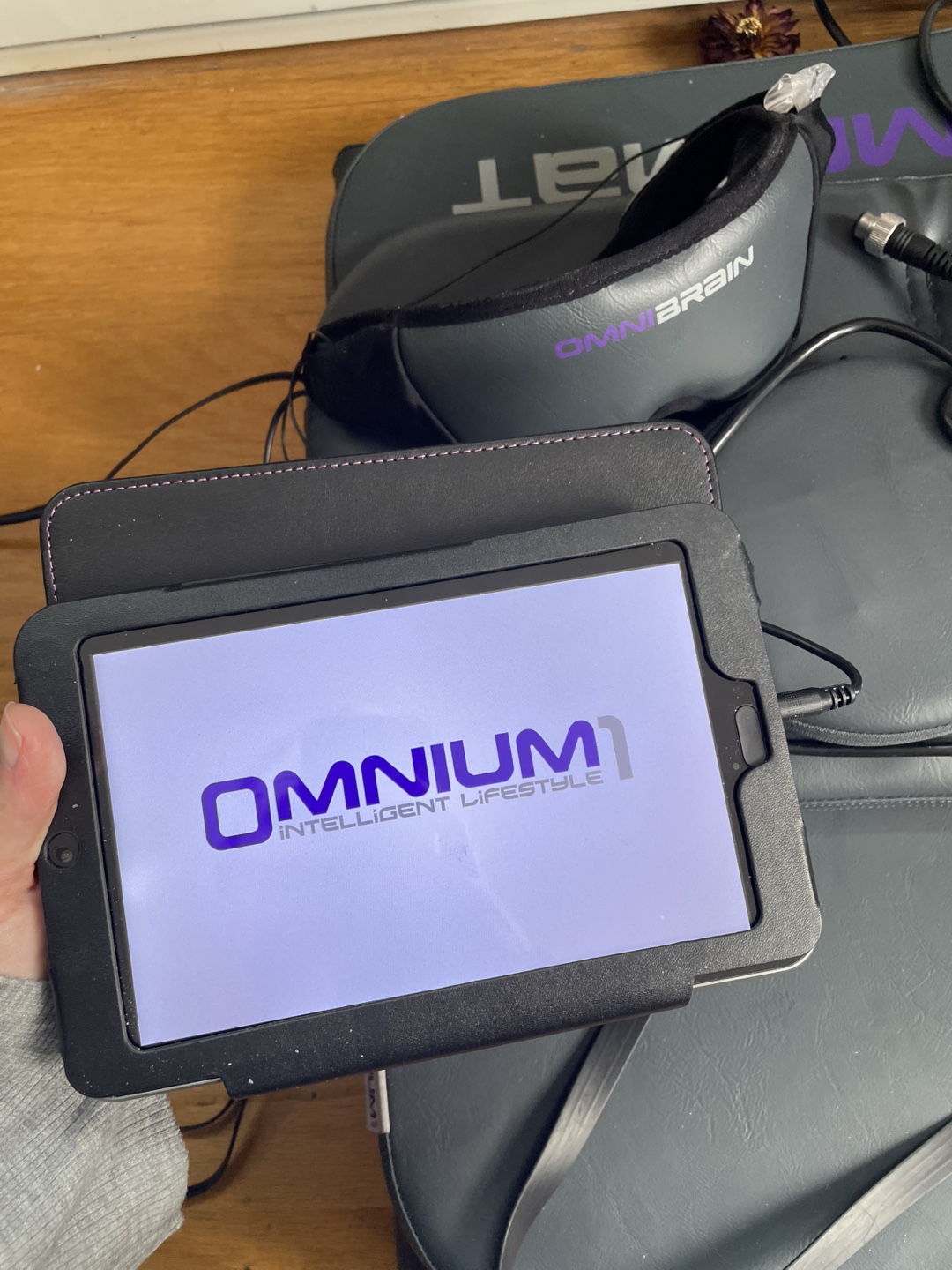 Omnium1 PEMF Therapy Mat - photo 3