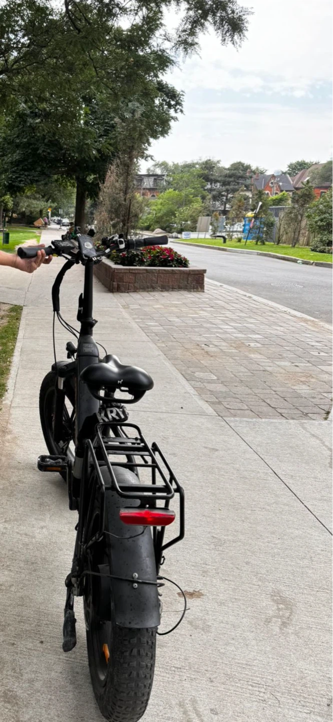 Pulse Fat Tire Delivery E-Bike for Riders