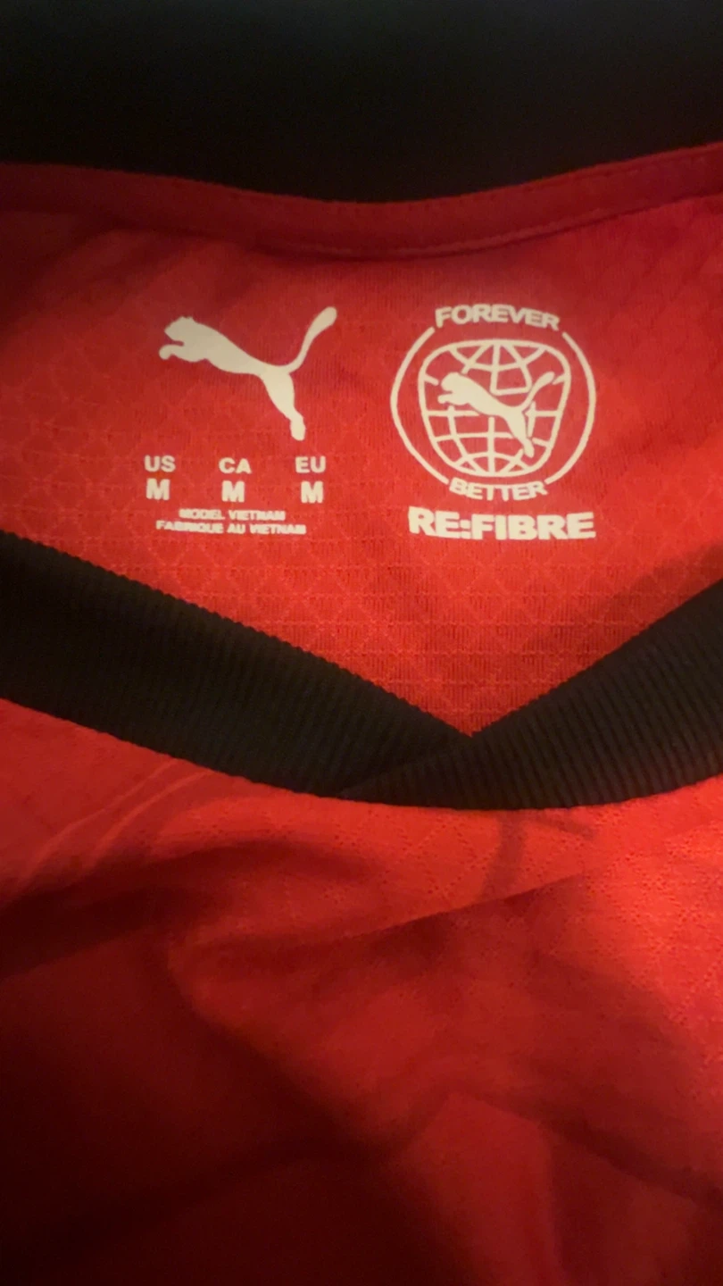 Puma Egypt National Football Team Jersey - photo 4
