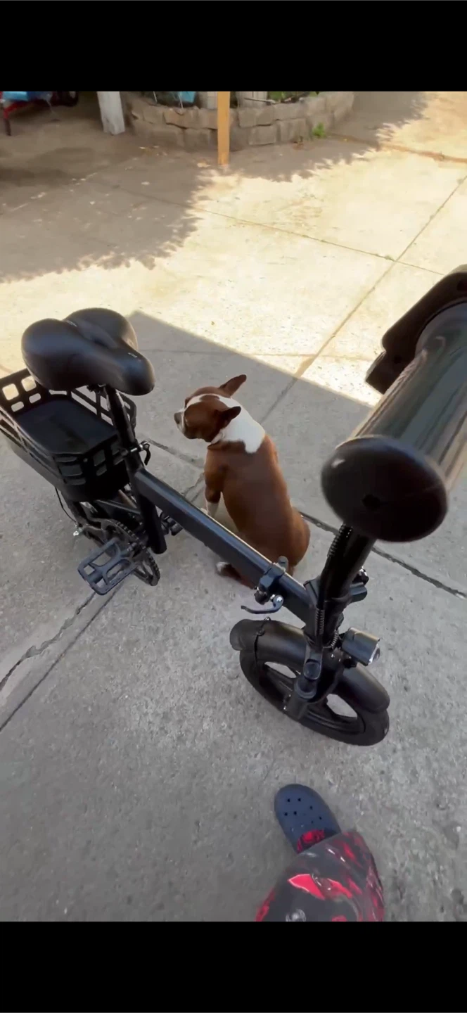 Black Folding Electric Bicycle with Basket