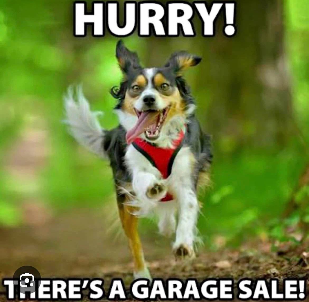 Yard Sale Sunday September 6th 9-3pm 1123 Broadview - photo 4